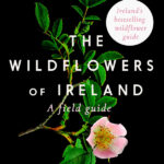 the wildflowers of ireland cover