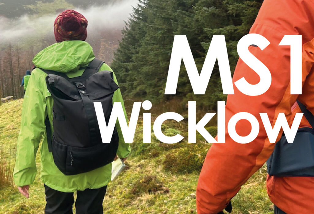 MS1 Wicklow