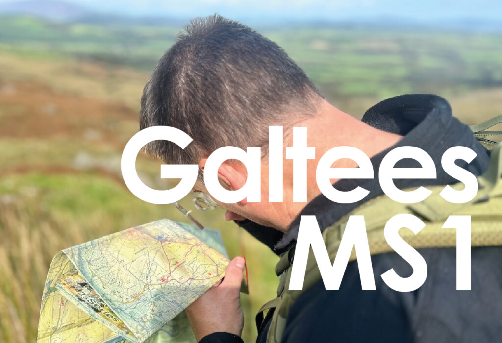 MS1 Galtees