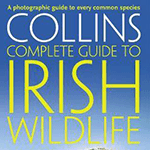 Navigation Resources